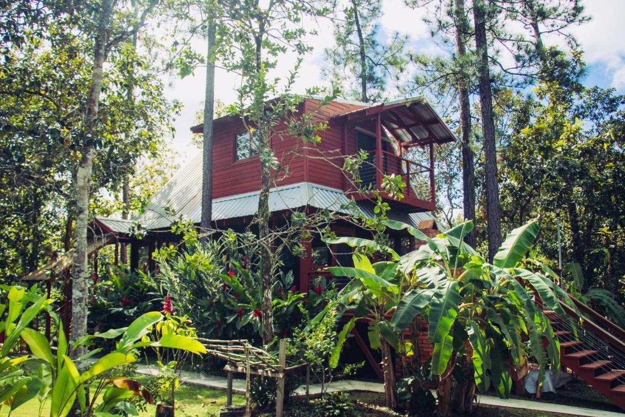 Kane Villas - Mountain Pine Ridge San Ignacio Esterno foto